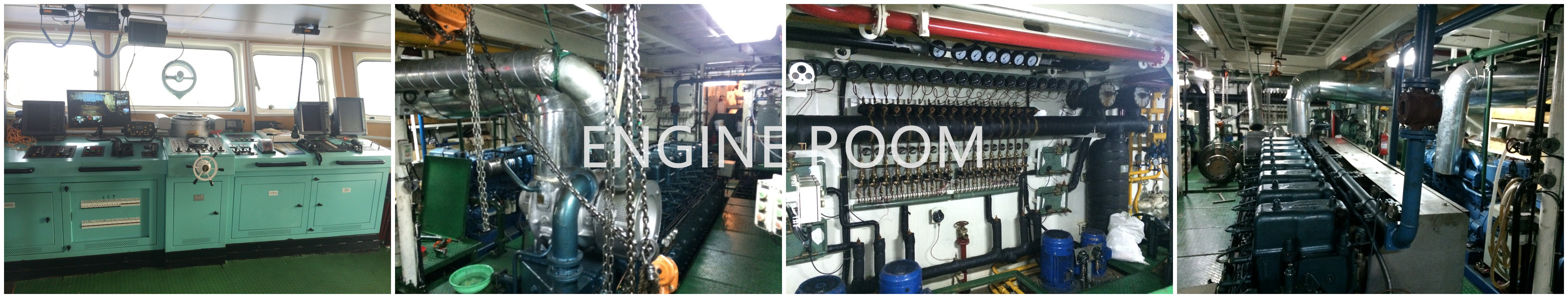 スチールフィッシングやまね