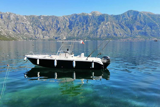 プロスポーツフィッシングボート、キャビン付きまたはオープンタイプ、Tトップまたはハードトップ9